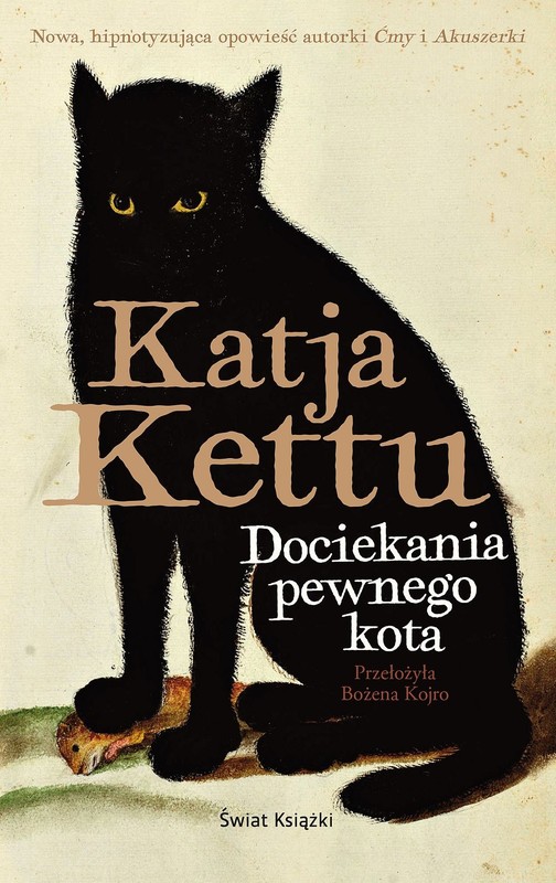 okładka Dociekania pewnego kota książka | Kettu Katja