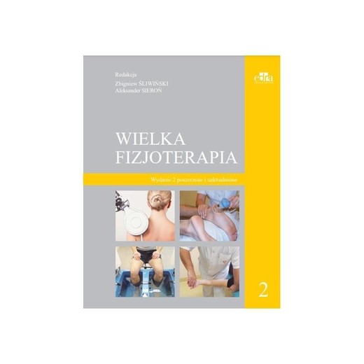 okładka Wielka fizjoterapia T.2 w.2 poszerzone książka | Aleksander Sieroń, red. ZbigniewŚliwiński