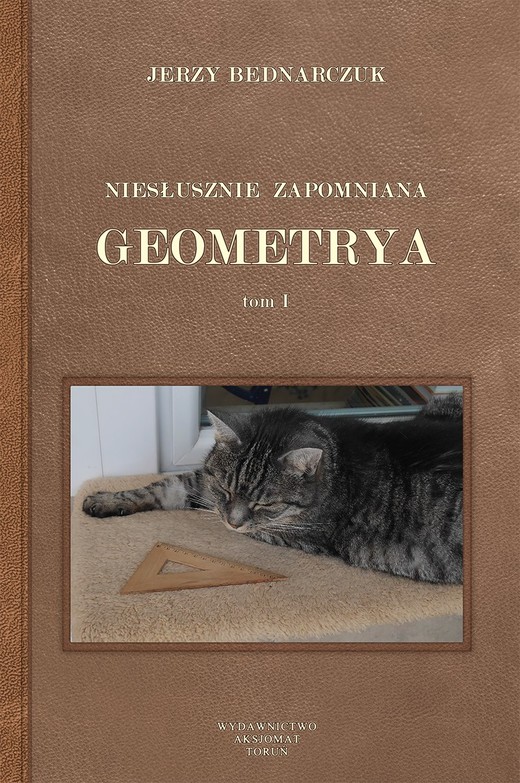 okładka Niesłusznie zapomniana geometrya tom I książka | Bednarczuk Jerzy