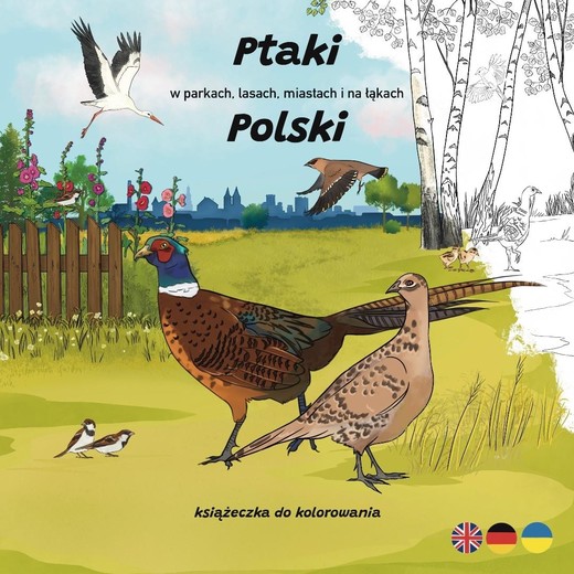 okładka Ptaki w parkach, lasach, miastach i na łąkach... książka | Ksenia Potępa