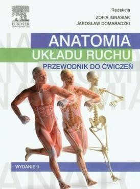 okładka Anatomia układu ruchu. Przewodnik do ćwiczeń książka