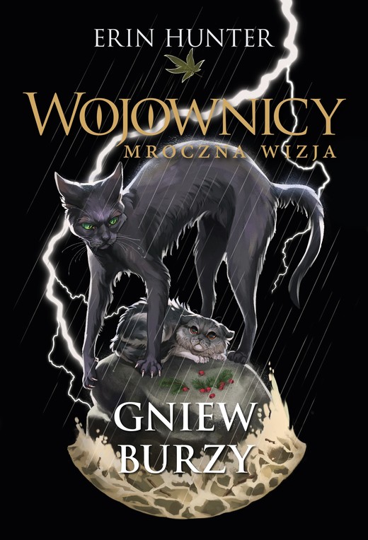 okładka Wojownicy. Mroczna wizja Gniew burzy książka | Erin Hunter