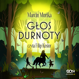 okładka Głos durnoty. Drużyna do zadań specjalnych. Tom 6.5 audiobook | MP3 | Marcin Mortka