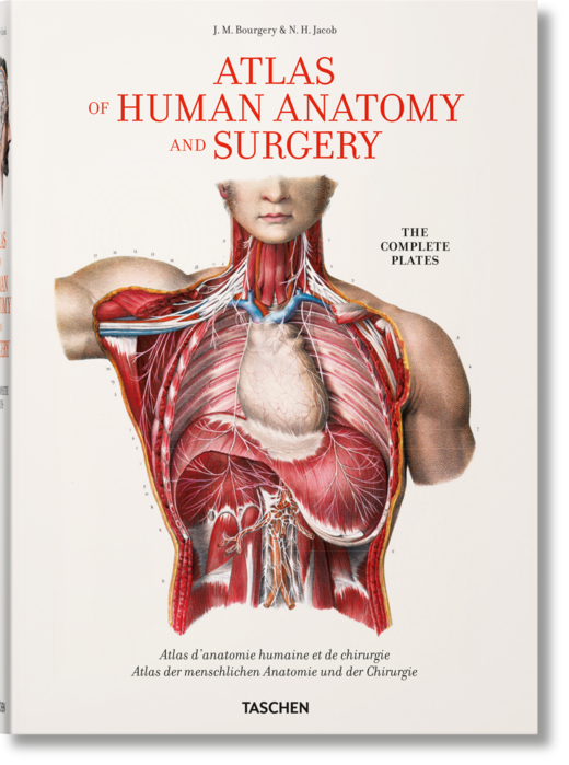 okładka Bourgery. Atlas of Human Anatomy and Surgery wer. angielska książka | Henri Sick, Jean-Marie LeMinor
