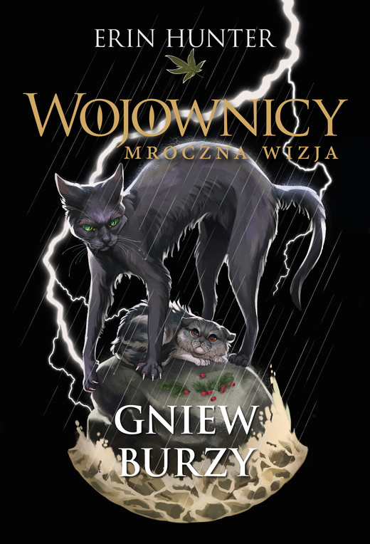 okładka Gniew burzy ebook | epub, mobi | Erin Hunter