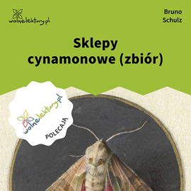 okładka Sklepy cynamonowe (zbiór) audiobook | MP3 | Bruno Schulz