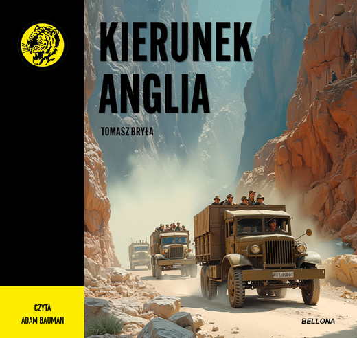 okładka Kierunek Anglia audiobook | MP3 | Bryła Tomasz