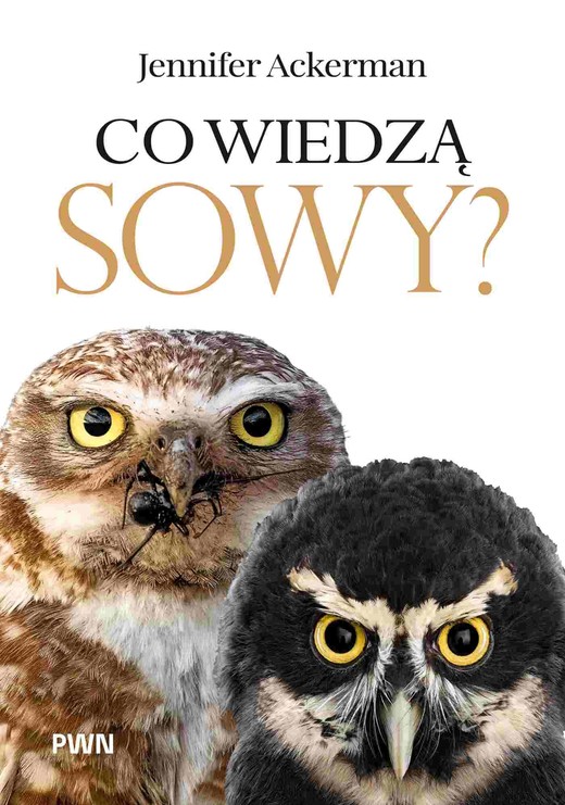 okładka Co wiedzą sowy? książka | Ackerman Jennifer