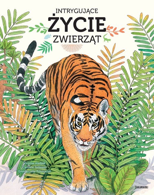 okładka Intrygujące życie zwierząt książka | Virginie Aladjidi, Pellissier Caroline