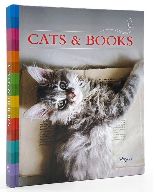 okładka Cats & Books książka | Universe Universe