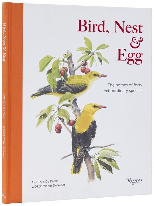 okładka Bird, Nest & Egg książka | Walter DeRaedt