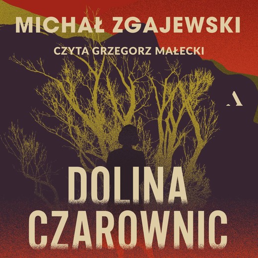 okładka Dolina czarownic audiobook | MP3 | Michał Zgajewski