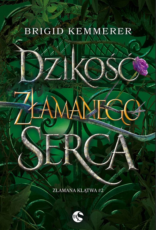 okładka Dzikość złamanego serca wyd. 2 książka | Brigid Kemmerer
