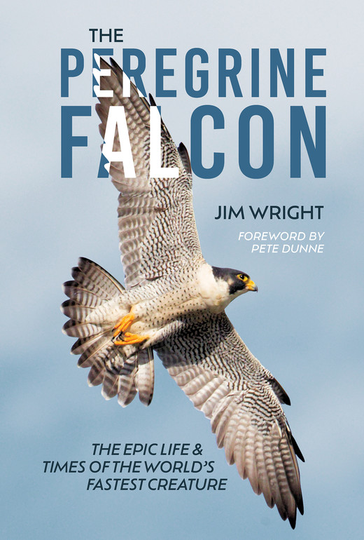 okładka The Peregrine Falcon książka | Jim Wright