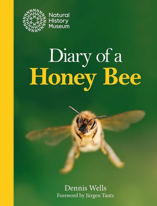 okładka Diary of a Honey Bee książka | Dennis Wells