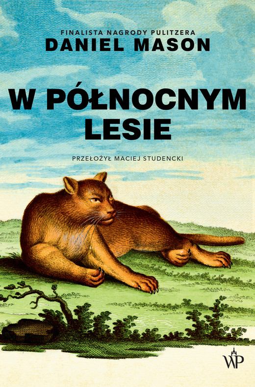 okładka W północnym lesie wyd. 2026 książka | Daniel Mason