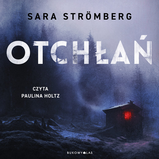 okładka Otchłań. Śledztwa Very Bergström audiobook | MP3 | Sara Strömberg