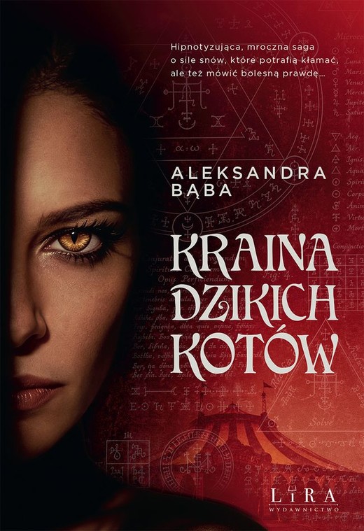 okładka Kraina dzikich kotów książka | Aleksandra Bąba