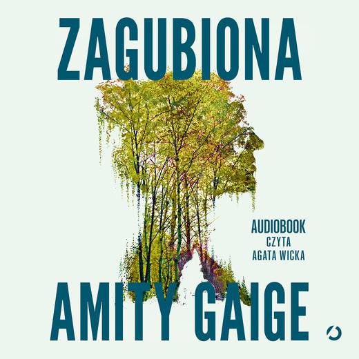okładka Zagubiona audiobook | MP3 | Amity Gaige