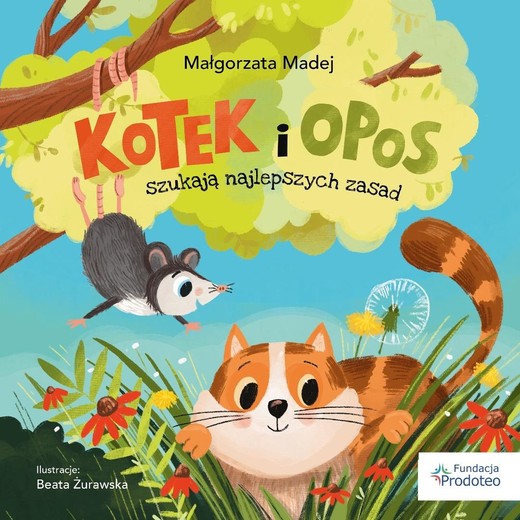 okładka Kotek i opos szukają najlepszych zasad książka | Beata Żurawska, Madej Małgorzata