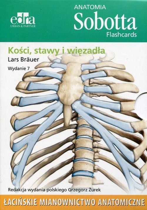 okładka Anatomia Sobotta Flashcards. Kości, stawy i więzadła. Łacińskie mianownictwo anatomiczne książka | Brauer Lars