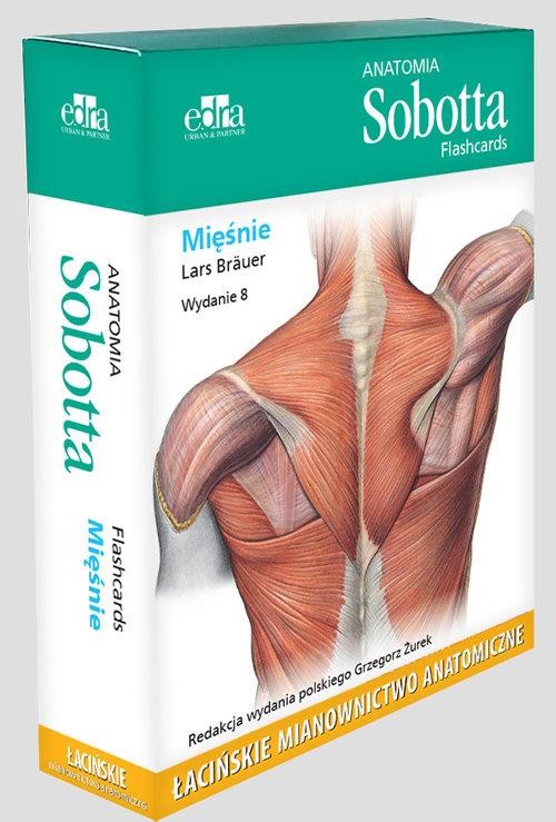 okładka Anatomia Sobotta Flashcards. Mięśnie. Łacińskie mianownictwo anatomiczne książka | Brauer Lars