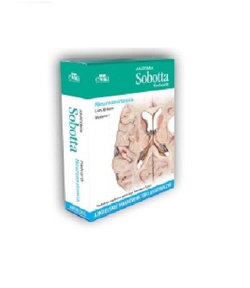 okładka Anatomia Sobotta Flashcards. Neuroanatomia. Angielskie mianownictwo anatomiczne książka | Bräuer L.
