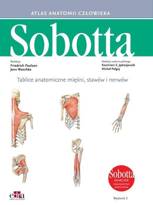 okładka Atlas anatomii człowieka Sobotta. Tablice anatomiczne mięśni, stawów i nerwów. Angielskie mianownictwo książka | Waschke J., Paulsen F.