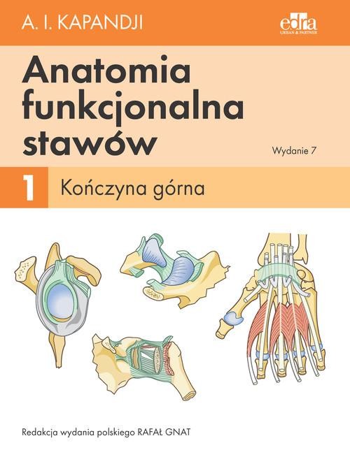 okładka Anatomia funkcjonalna stawów. T. 1. Kończyna górna książka | Kapandji I.A.