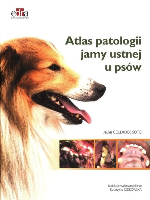 okładka Atlas patologii jamy ustnej u psów książka