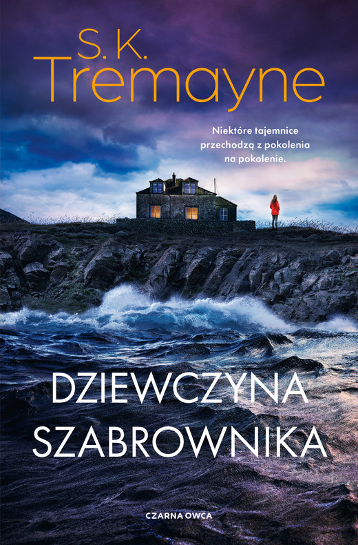 okładka Dziewczyna szabrownika ebook | epub, mobi | S. K. Tremayne