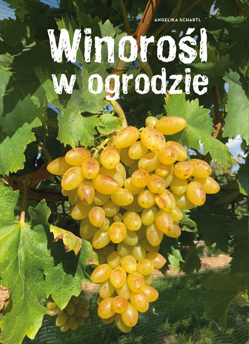 okładka Winorośl w ogrodzie książka | Angelika Schartl, Claudia Schick