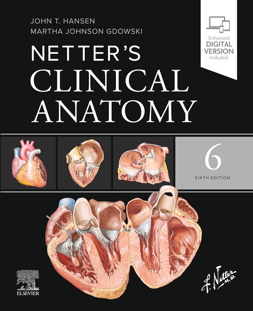 okładka Netter's Clinical Anatomy, 6th Edition książka | Hansen JohnT., Martha JohnsonGdowski
