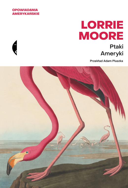 okładka Ptaki Ameryki ebook | epub, mobi | Lorrie Moore