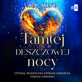 okładka Tamtej deszczowej nocy audiobook | MP3 | A.P. Mist