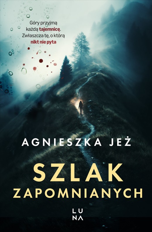 okładka Szlak zapomnianych ebook | epub, mobi | Agnieszka Jeż