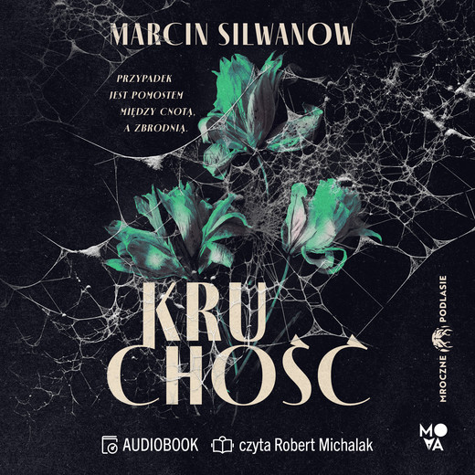 okładka Kruchość audiobook | MP3 | Marcin Silwanow