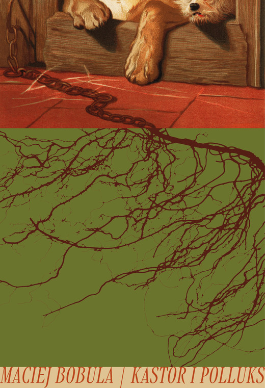okładka Kastor i Polluks ebook | epub, mobi | Maciej Bobula