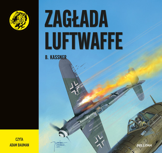 okładka Zagłada Luftwaffe audiobook | MP3 | B. Kassner
