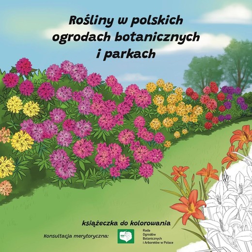 okładka Rośliny w polskich ogrodach botanicznych i parkach książka | Ksenia Potępa