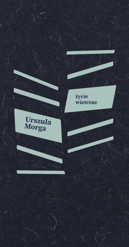 okładka Życie wietrzne książka | Urszula Morga