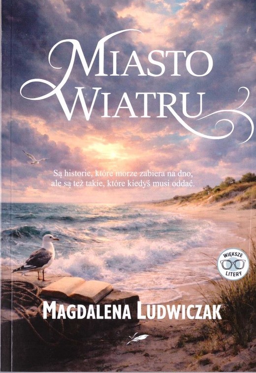 okładka Miasto wiatru (barwione brzegi) książka | Magdalena Ludwiczak