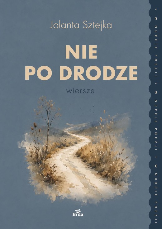 okładka Nie po drodze książka | Jolanta Sztejka