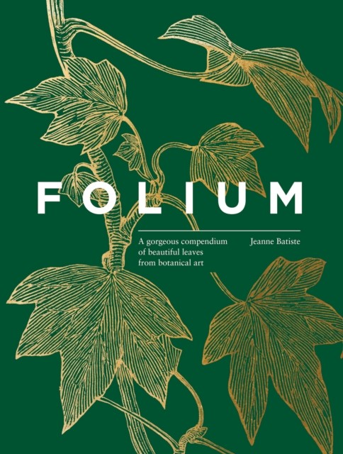 okładka Folium książka | Jean Batiste