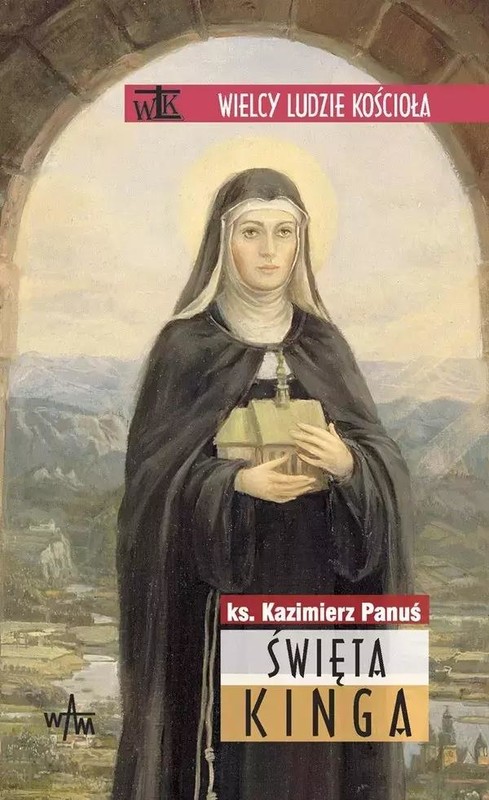 okładka Święta Kinga książka | Panuś Kazimierz