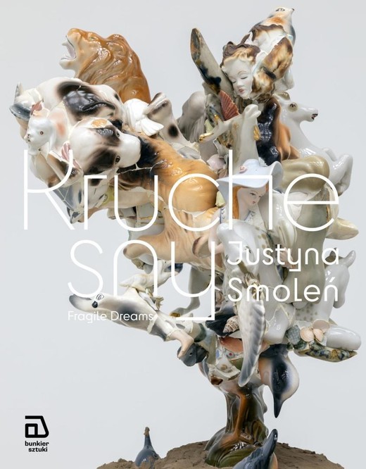 okładka Kruche sny książka | Justyna Smoleń