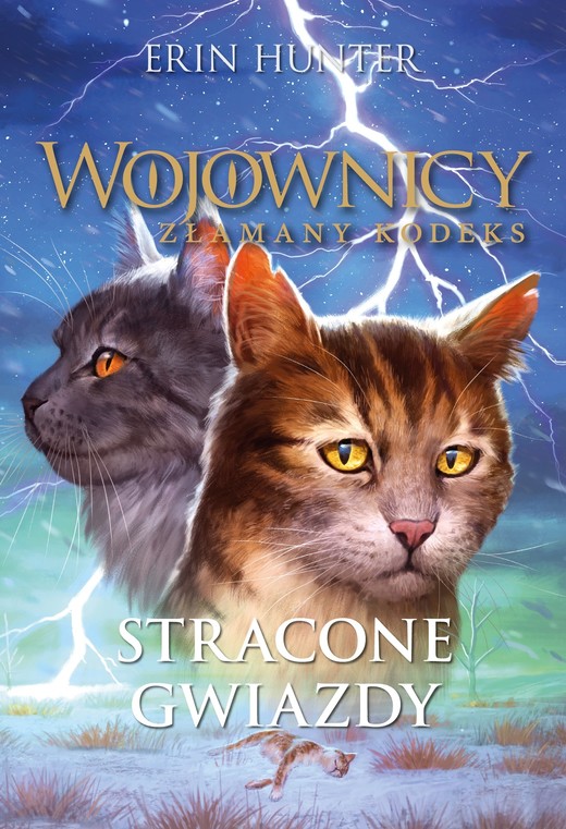 okładka Stracone Gwiazdy książka | Erin Hunter