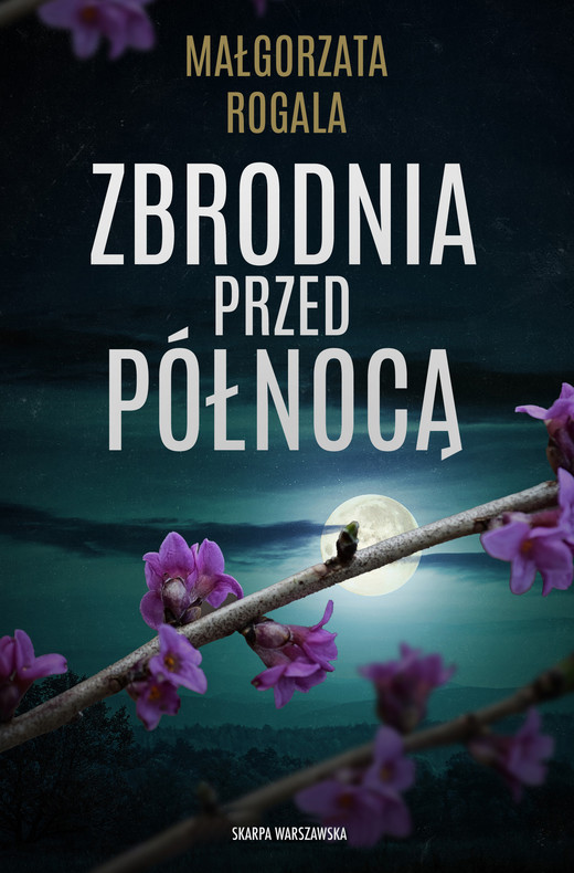 okładka Zbrodnia przed północą książka | Małgorzata Rogala