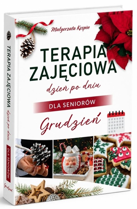 okładka Terapia zajęciowa dzień po dniu... Grudzień książka | Małgorzata Kospin