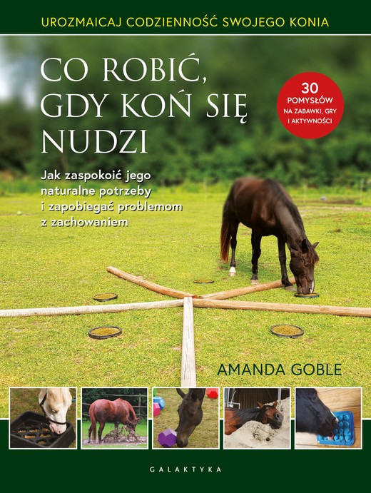 okładka Co robić, gdy koń się nudzi książka | Goble Amanda